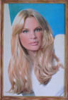 Photograph on Canvas in the authorīs frame, 60 x 40 cm